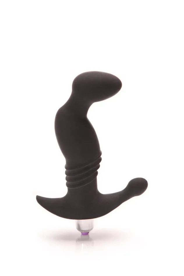 Silicone Prostate Play Massager Vibrator SL Anal