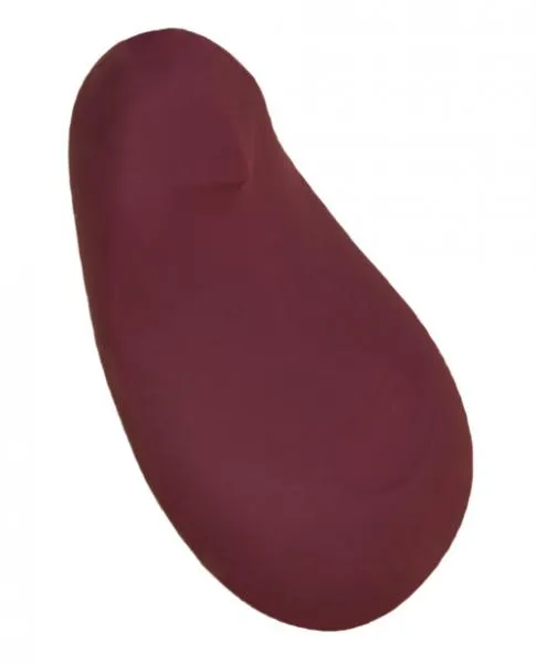 Vibrators Dame Pom Plum Purple Flexible Vibrator