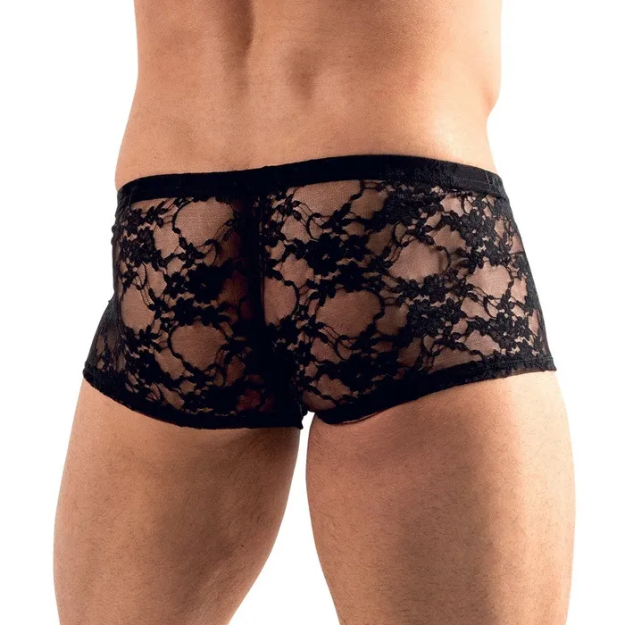 Anal Svenjoyment Mens Black Lace Briefs Svenjoyment