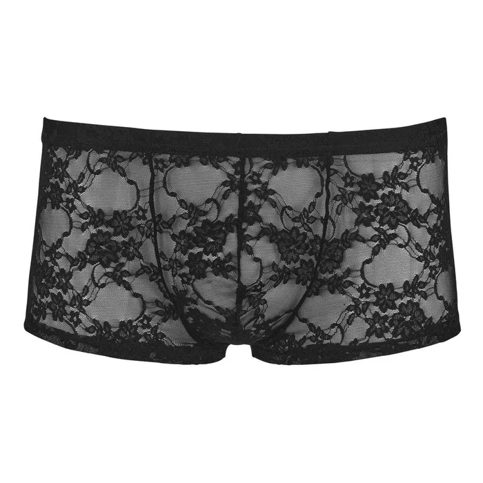 Anal Svenjoyment Mens Black Lace Briefs Svenjoyment