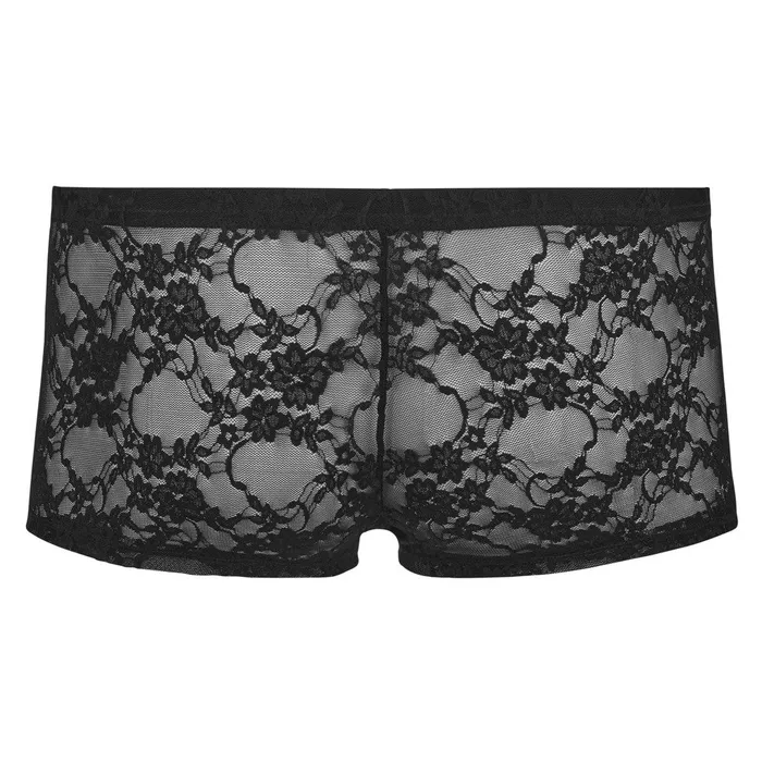 Anal Svenjoyment Mens Black Lace Briefs Svenjoyment