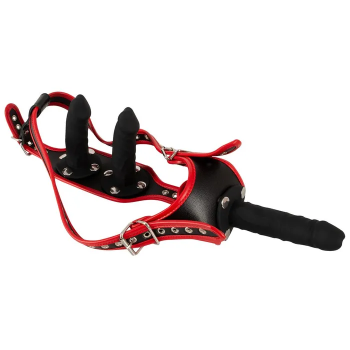 Bad Kitty Strapon Belt with 3 Realistic Dildos Bad Kitty Female Sex Toys