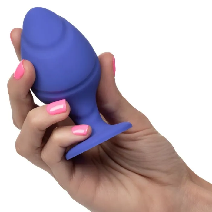 California Exotic Anal Cheeky Butt Plug Duo Purple