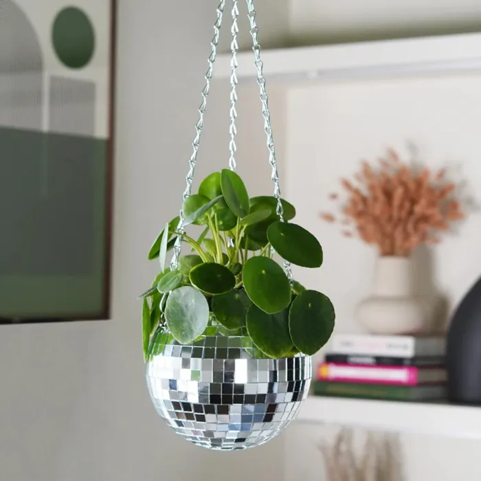 Male Sex Toys Bubblegum Stuff Disco Ball Hanging Planter 6in