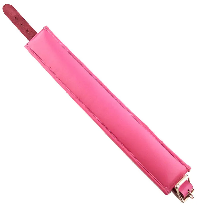 Rouge Garments Vibrators Pink Padded Collar