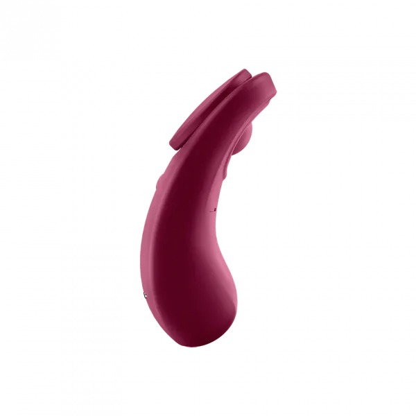 Satisfyer Vibrators Sexy Secret Wine Red